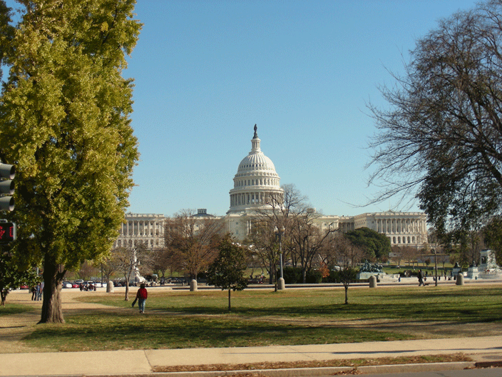 DSCN3187.gif - US Capitol (Nov '08)